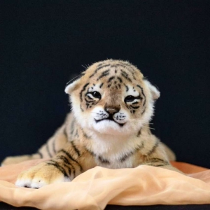 Поделки амурский тигр из природного материала: идеи по изготовлению своими руками (45 фото)